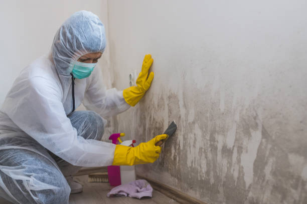 Water Damage Restoration in Mount Prospect, IL