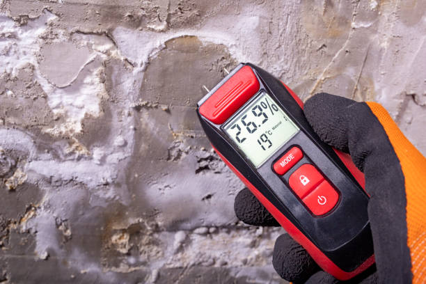 Best Water Damage Restoration  in Mount Prospect, IL